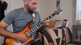 Cover: Opeth - Deliverance -- Mikael's Solo