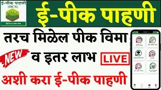 अशी करा ई पीक पाहणी मोबाईल मध्ये | E Pik Pahani Kashi Karavi | Pik Pahani Online Maharashtra