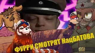 Фурри смотрят НацБатова и Константина Семина