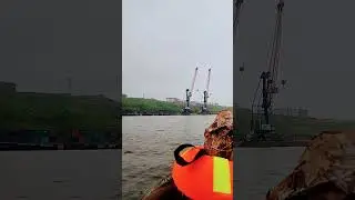 За щукой