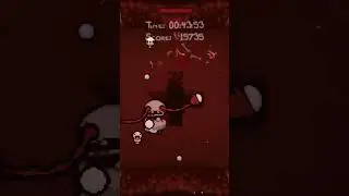 🟤 [