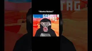 Gorilla Tag made $100,000,000 🤯