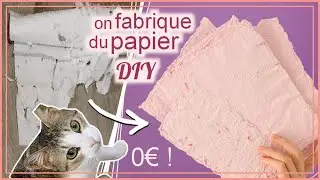 📄 DIY Comment fabriquer du papier pour 0€ (et recycler les bêtises du chat)