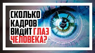 Сколько FPS видит человек? Сколько FPS нужно для игр?