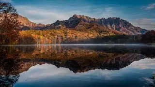 morning Nature view #nature #shortvideo