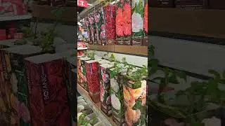 ОБИ. Розы агрофирмы Поиск и Мир растений: флорибунды, чайно-гибридные, шрабы, плетистые.