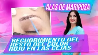 Microblading de cejas paso a paso ♥ Beauty Studio Alas de Mariposa-Cejas PERFECTAS antes y después.