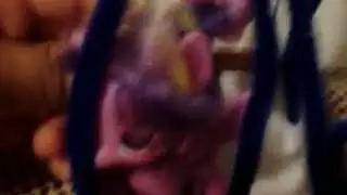 Mlp the Movie - Open up your eyes Toy version
