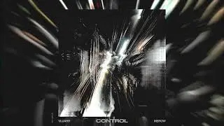 Vluarr & Merow - Control