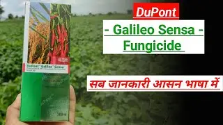 galileo sensa fungicide uses || picoxystrobin + tricyclazole fungicide uses || dupont || a2z farming