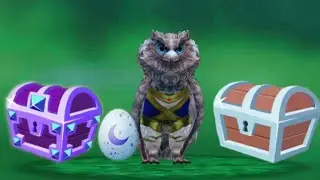 Открытие сундуков и лунных яиц в Wild Craft