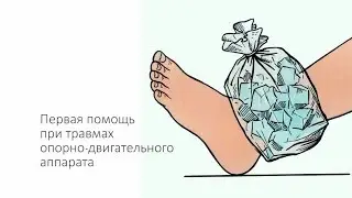 Первая помощь при травмах опорно-двигательного аппарата