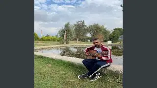 Yaktım gemileri