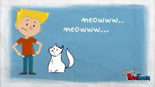 How to talk to your cat