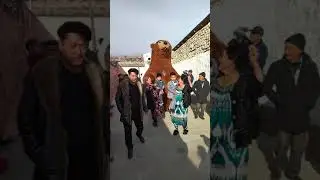 Зарзамин  туйларини  куринг