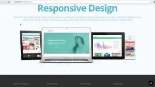 Mineral Theme: Creating Full Width Background Section2