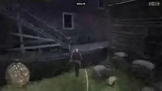 Red Dead Redemption 2 : защита Валентайн
