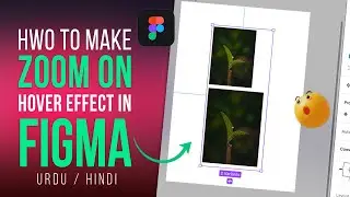 How to make Zoom on Hover Effect in Figma | Components in Figma | Figma tutorials in Urdu