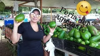 feria del aguacate