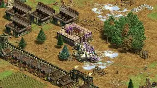 AoE2:DE - Caravanserai speed bug
