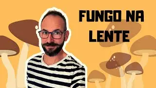 FUNGO NA LENTE