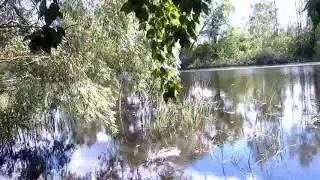 Видео наоборот(4)