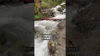 #духовноеразвитие