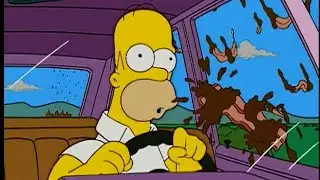 The Simpsons - Chocolate and Bacon