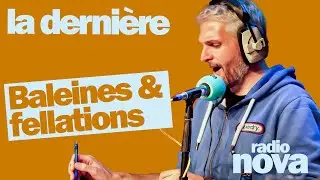 "Baleines et f*llations" : la chronique de Pierre-Emmanuel Barré dans "La dernière"