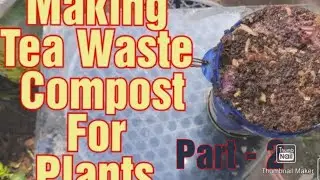 How to make tea waste compost at home || Part 2 || ready to use