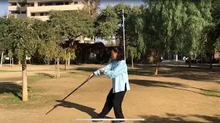 Curso de Espada de Tai-Chi