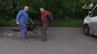 Тригер 74, Хватка, отпуск, внимание, спокойное состояние