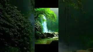 sapete l'uomo fa soffrire la  natura ma in un modo orrendo!