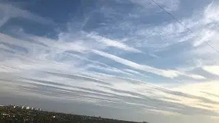 О важном #приколвакцинация