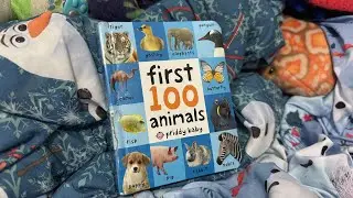 Read Aloud of a Toddler Favourite! First 100 Animals Board Book