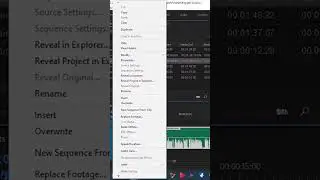 MONO SES STEREO YA NASIL DONUSTURULUR | PREMIERE PRO | 2023 