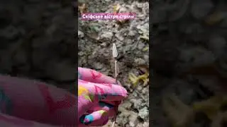 Скіфське вістря стріли