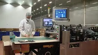 Укладчик пауч пакетов