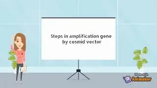 Cosmid Vector