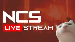 🎶 NCS Livestream #14 🎧 [Indie]