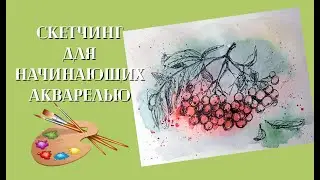 Watercolor sketching for beginners. Rowan branch in watercolor