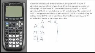 Open System Input-Output Model