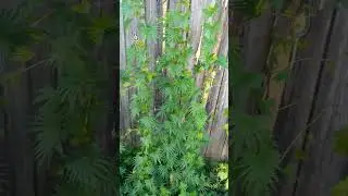 какие у нас изменения 😎