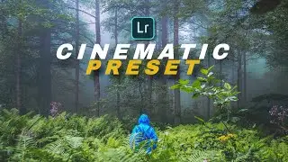 CINEMATIC LR Presets Like A PRO - LIGHTROOM Mobile PRESET Free DNG | POV Street PhotographyPresets