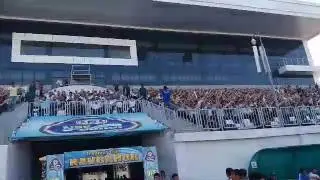 Mana haqiqiy muxlis
