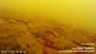 Игра мормышки под водой