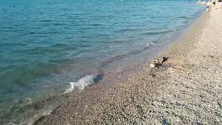 Обзор пляжей Геленджика