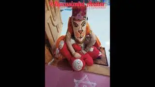 Fifth year jamnashtami celebration 2021 