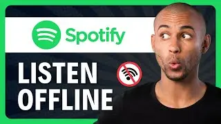 How To Download Spotify Playlist To MP3 (2024)