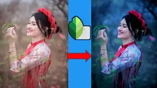 Blue Tone Effect Editing Snapseed Mobile |  Android Mobile Edit | #_MS_Edits_2020